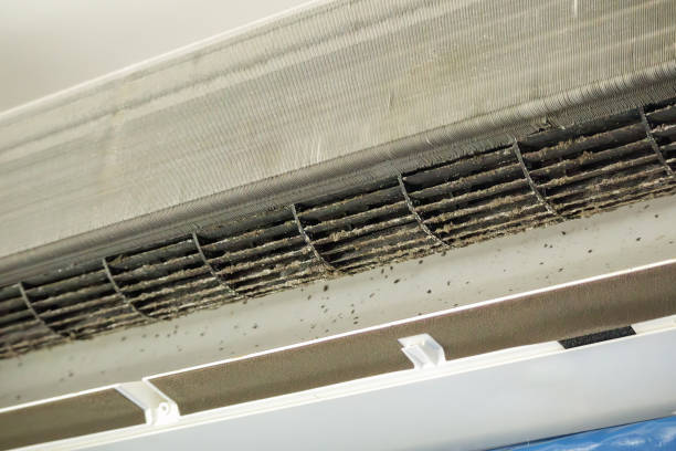 Reliable Ligonier, IN Airduct Cleaning Solutions